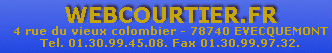 logo webcourtier